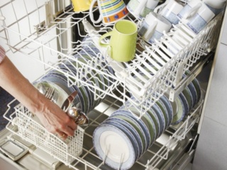 Экономичные посудомоечные машины LEX - какие бывают?