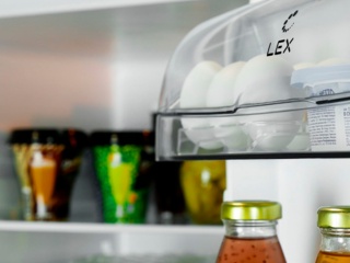 Однокамерный холодильник LEX (ЛЕКС) RBI 101 DF: обзор модели
