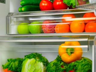 Характеристики холодильников от бренда LEX